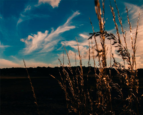 电话在线轰炸网页版