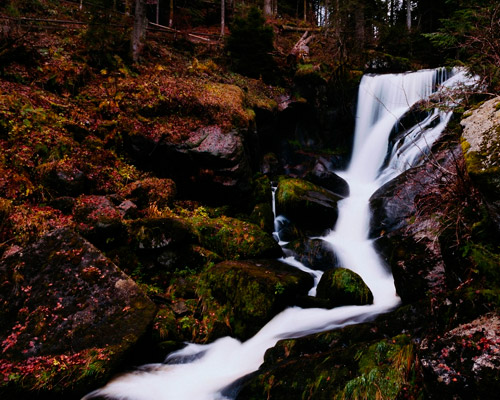 不黑号的手机号轰在线轰炸