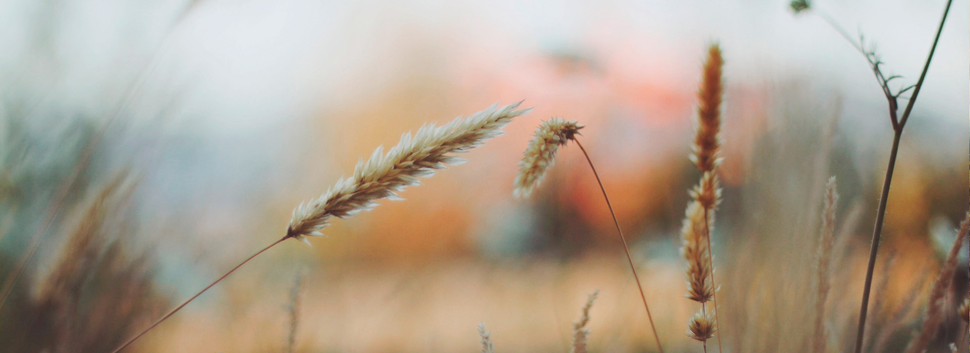 免费短信云呼轰炸机