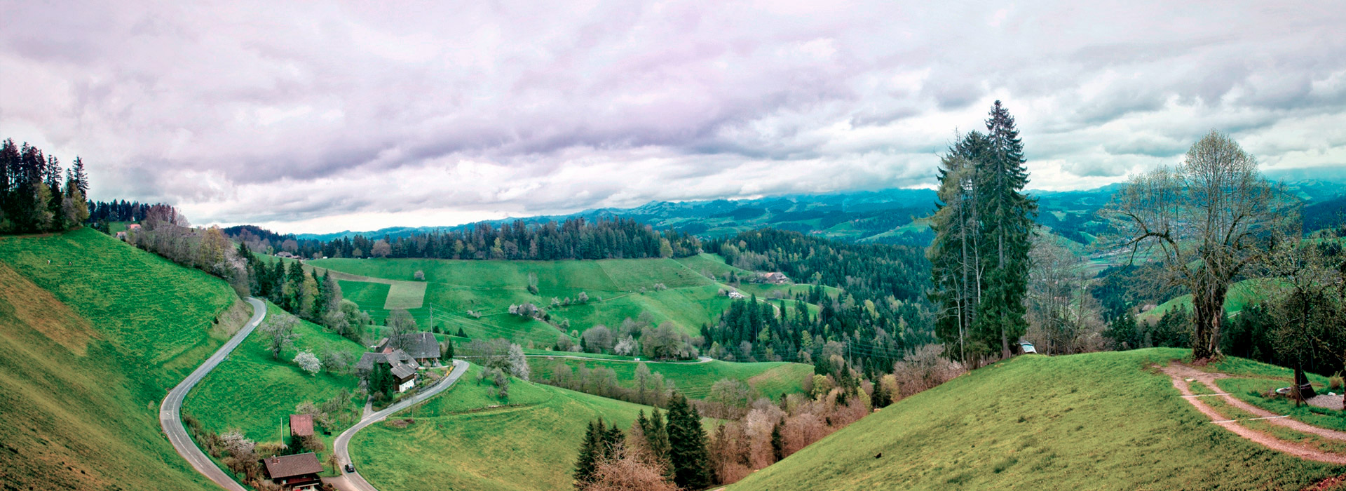 轰炸电话网页版